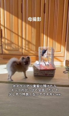 「いたよ！」