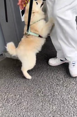 「会いたかった～」