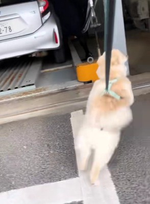 「いた！！」