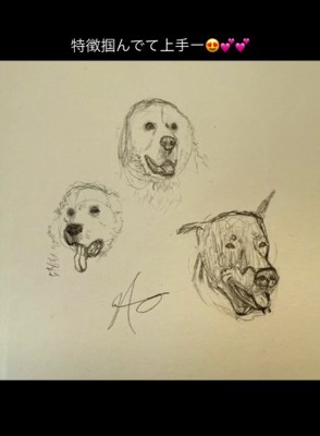 犬たちの絵
