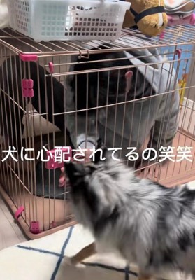 怒ってる?心配してる?
