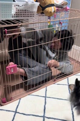 ヒメサンのケージの中!!