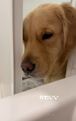 ストーカーのドドくん