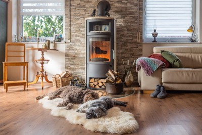 暖炉の前に寝る2匹