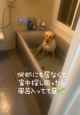お風呂の中にいた！！