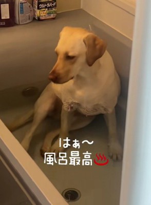 「風呂は最高だな～」