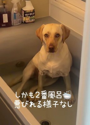 二番風呂に大満足