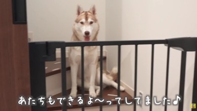 いつかにこちゃんにもできるね！