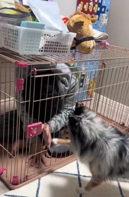 「ここは私の部屋だよ!!」