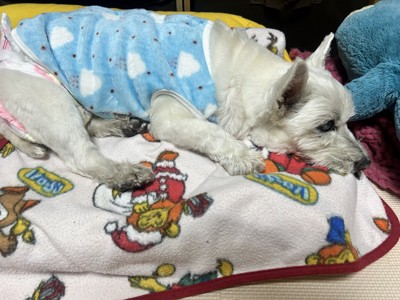 ちーちゃん