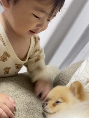 犬に手が当たってしまった子ども