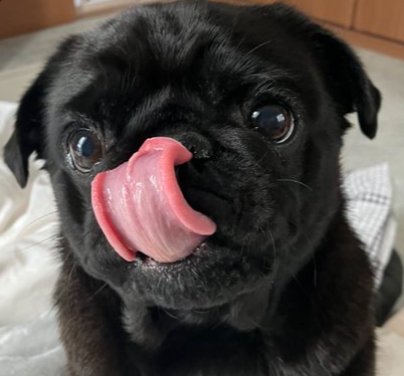 おやつ