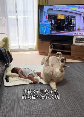 「私のことも構って~」