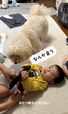 孫を預かった時のチャイちゃん8