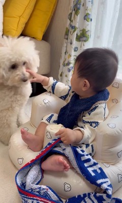 孫を預かった時のチャイちゃん3