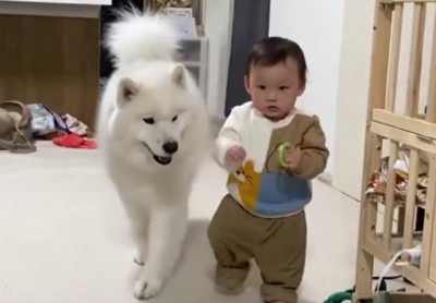 見守り