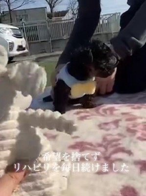 絶対に希望を捨てない…