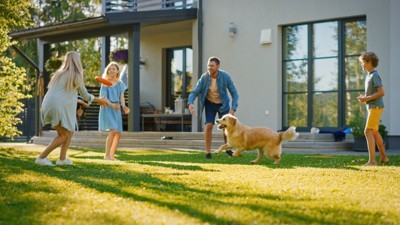 家族と遊ぶ犬