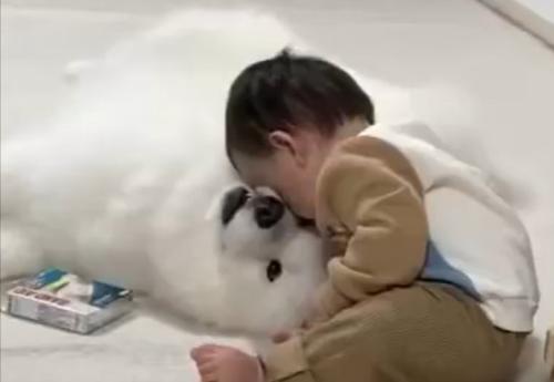 弟