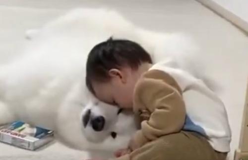 ウトウト