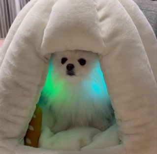 立てこもり