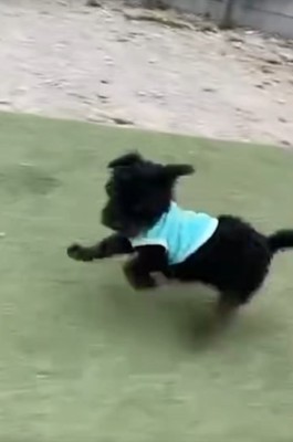 これからも幸せでいてね