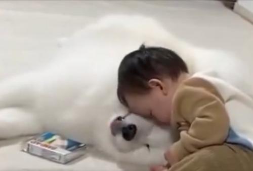 くしゃみ