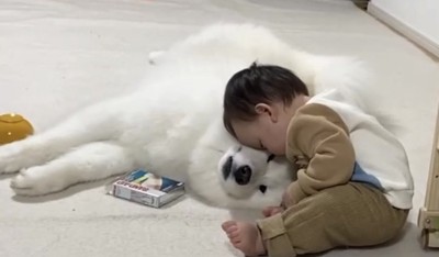 やれやれ