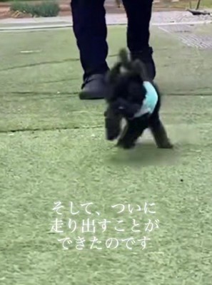 駆け回る姿に涙…