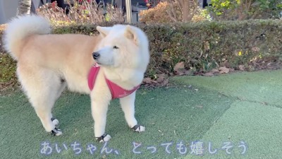 とっても嬉しそう！
