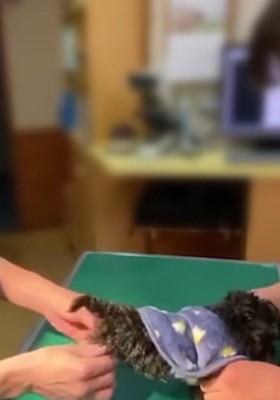 「もう歩けないかもしれない」