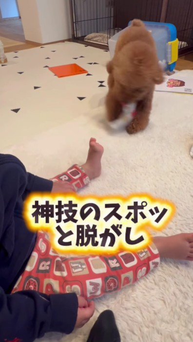 僕が手伝ってあげる!!