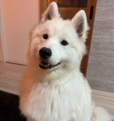 立派に成長