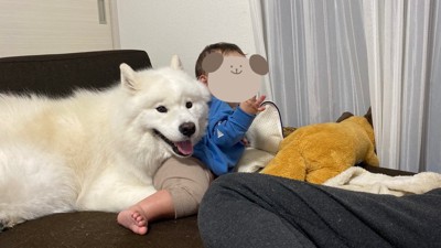 一緒にテレビ