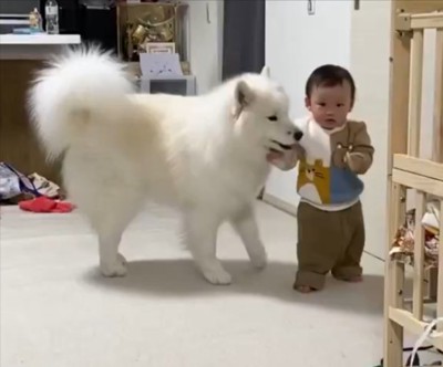 大丈夫？