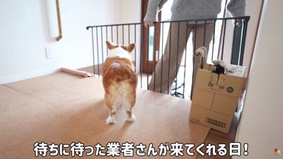 業者さんが来てくれることに