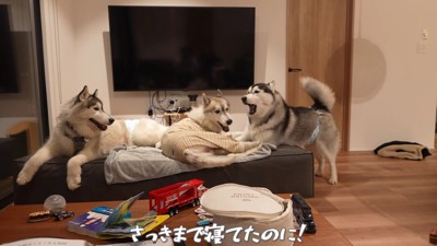 ヴァルくんが暴走!!