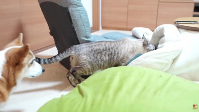 日常が戻ってよかったね！！