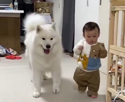 よちよち