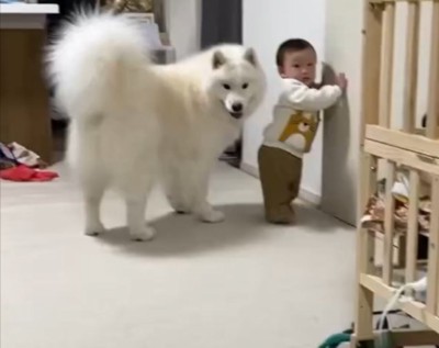 歩き始めた