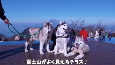 楽しい旅行だったね!!
