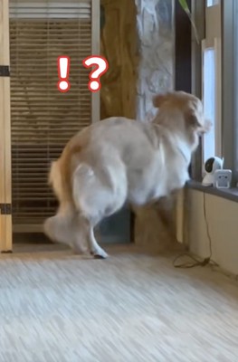 突然の大きな音が