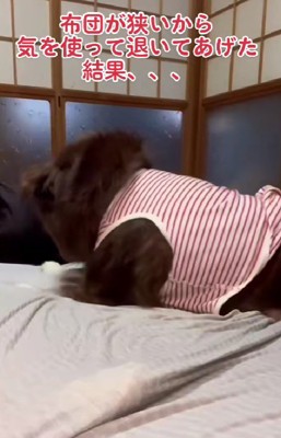 飼い主さんが移動すると…