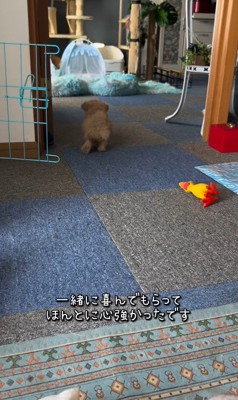 みらいちゃんが元気になるまで6