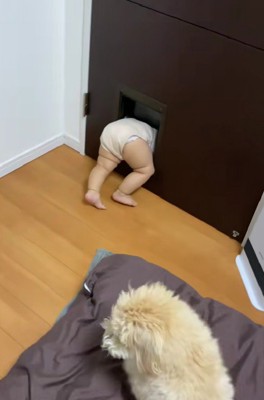 「え…どうしたらいい？」