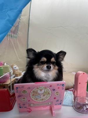 おままごと