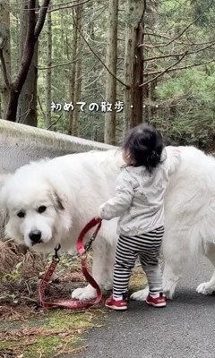 はじめての散歩へ