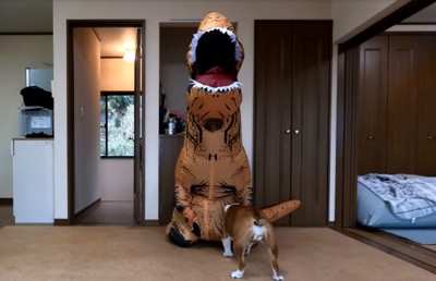 恐竜を嗅ぐブルドッグ