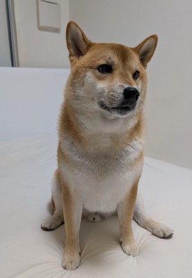 5年後