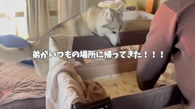 ほっと一安心